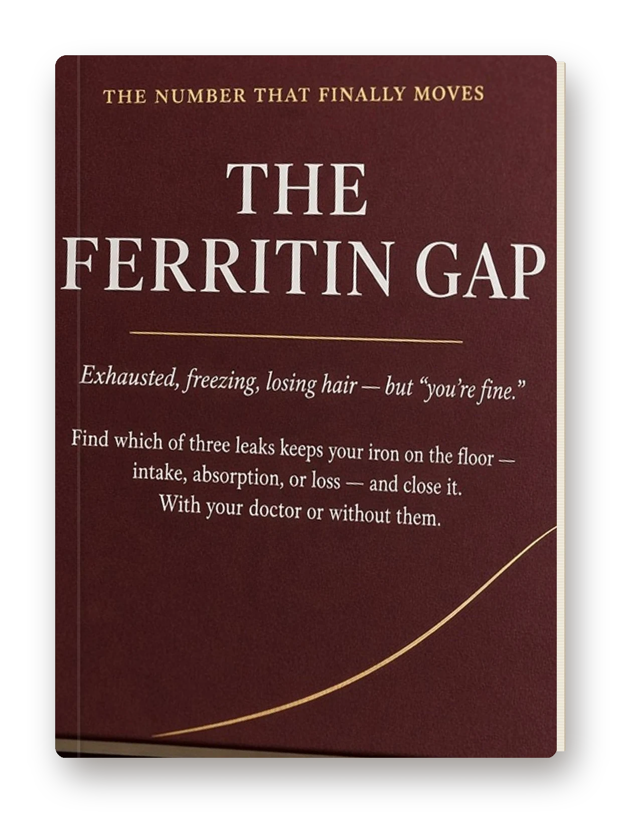 The Ferritin Gap — book cover